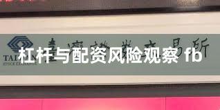 杠杆与配资风险观察 fb